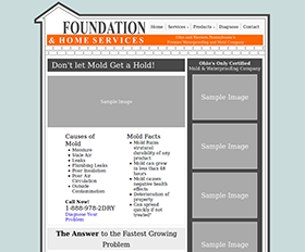 Screenshot of project home page